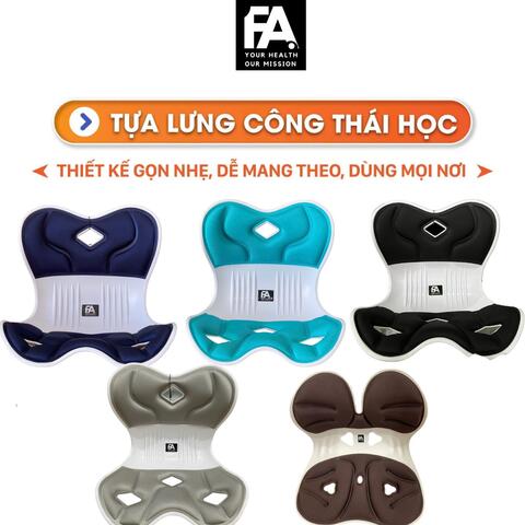 GHẾ CÔNG THÁI HỌC FA, Giải Pháp Chữa Đau Lưng, Chống Gù, Chỉnh Dáng Ngồi Đúng